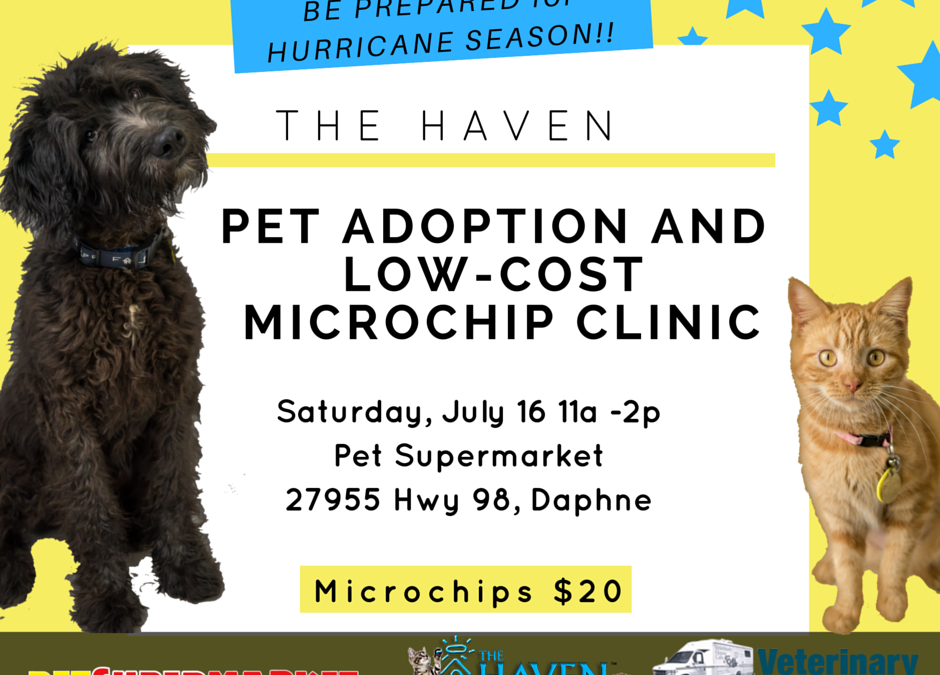 The Haven LowCost Microchip Clinic, Pet Adoption at Daphne Pet