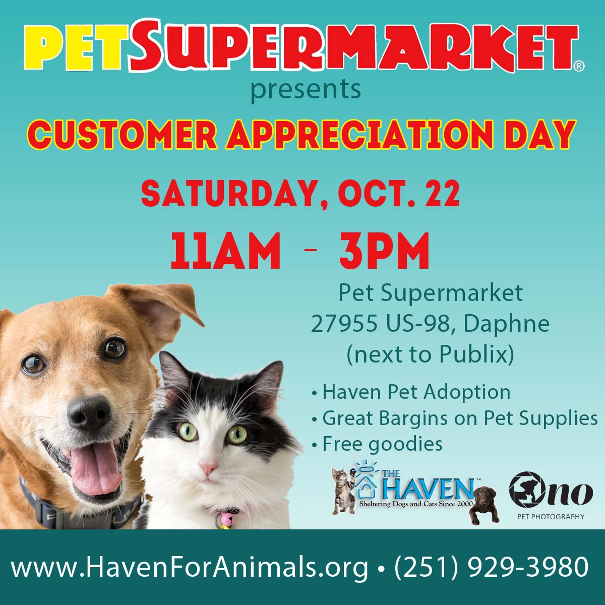 Pet supermarket cats online
