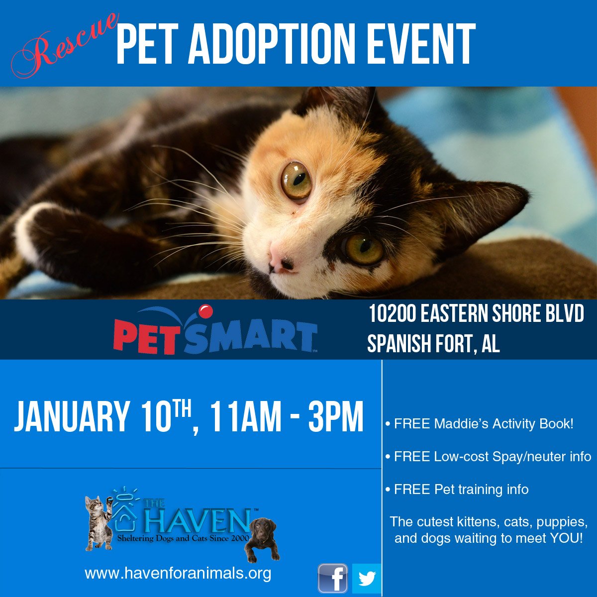 Haven's “New Year, New Pet” Adoptions at Pet Supermarket and Petsmart - The  Haven No-Kill Animal Shelter