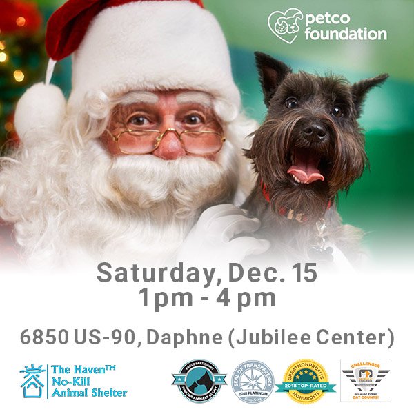 Pet Portraits with Santa Claus this Saturday - The Haven No-Kill Animal  Shelter