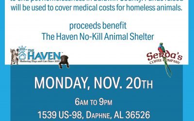 Serda’s Coffee House Helps Homeless Pets