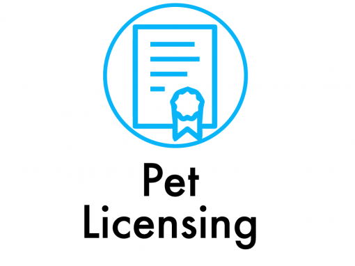Pet Licensing