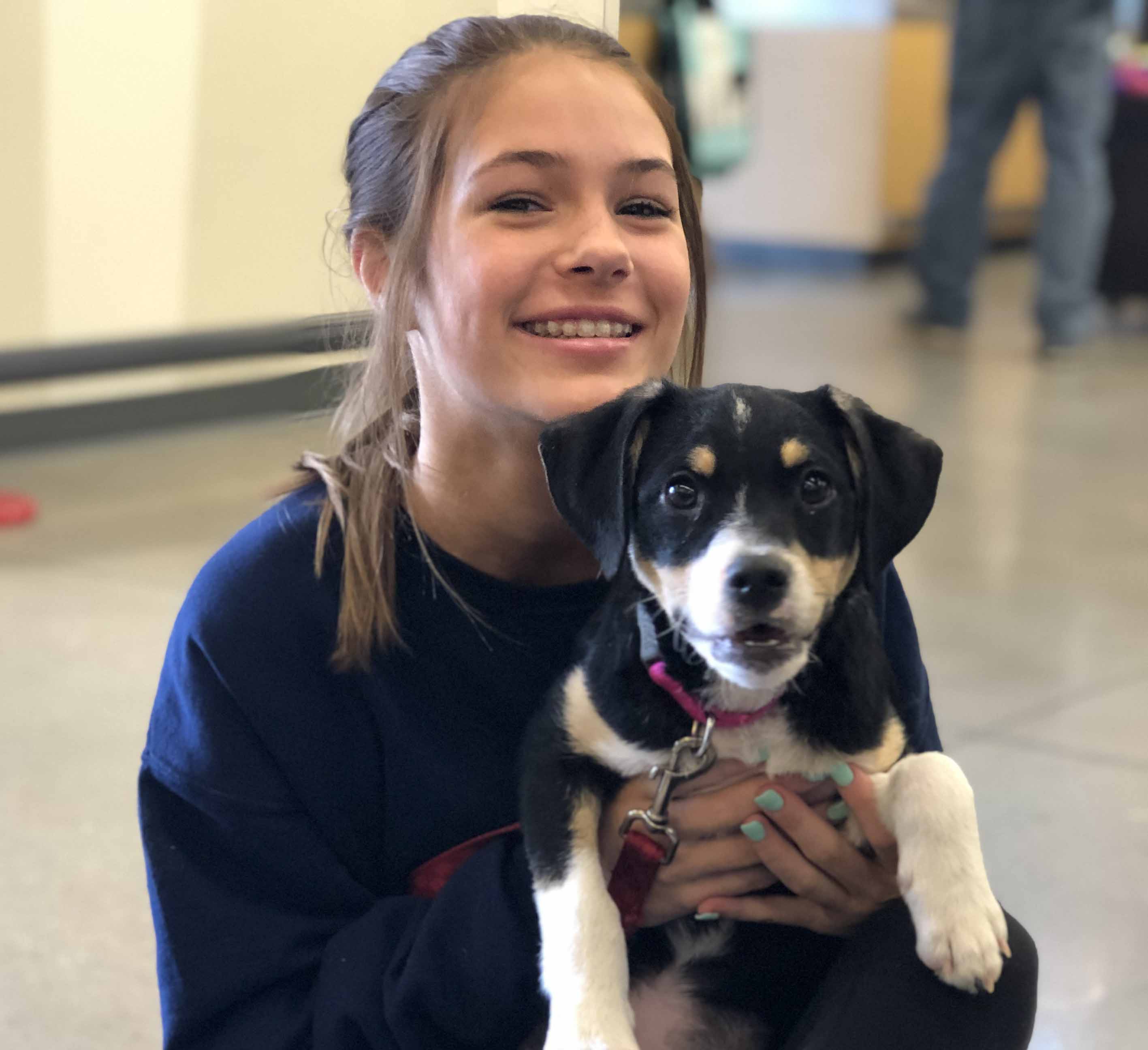 Court Appointed Community Service Program - The Haven No-Kill Animal Shelter Court Appointed Community Service Program - The Haven No-Kill Animal Shelter