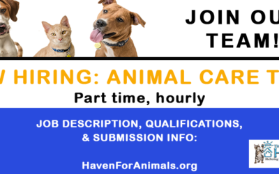 NOW HIRING: Animal Care Tech job opening at The Haven!