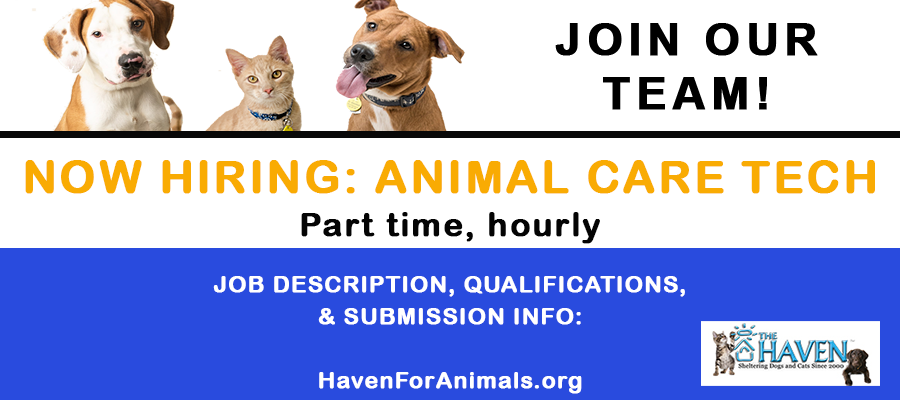 NOW HIRING: Animal Care Tech job opening at The Haven! - The Haven No-Kill Animal  Shelter