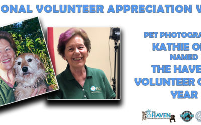 PET PHOTOGRAPHER KATHIE ONO NAMED HAVEN’S VOLUNTEER OF THE YEAR