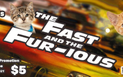 THE FAST AND THE FUR-IOUS – KITTIES FOR $5
