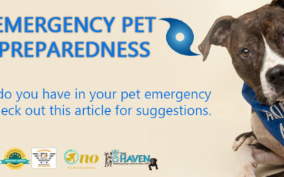 EMERGENCY PET PREPAREDNESS