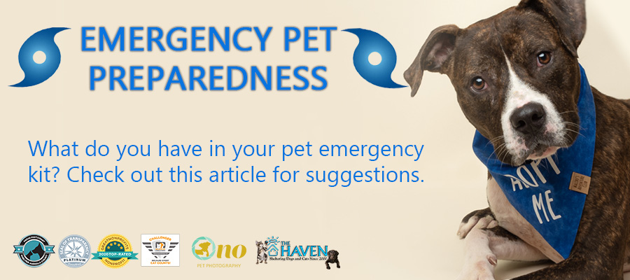 EMERGENCY PET PREPAREDNESS - The Haven No-Kill Animal Shelter