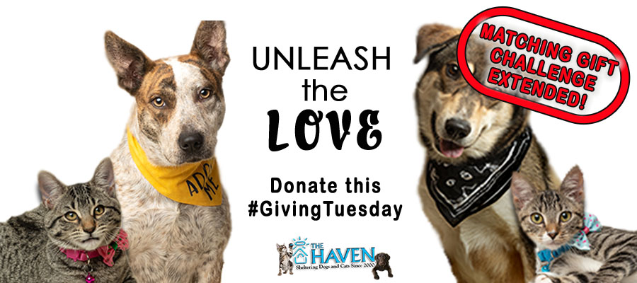 Giving Tuesday 2021 Website Matching Gift Challenge Extended 1