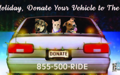 Donate Your Vehicle and Save Homeless Pets