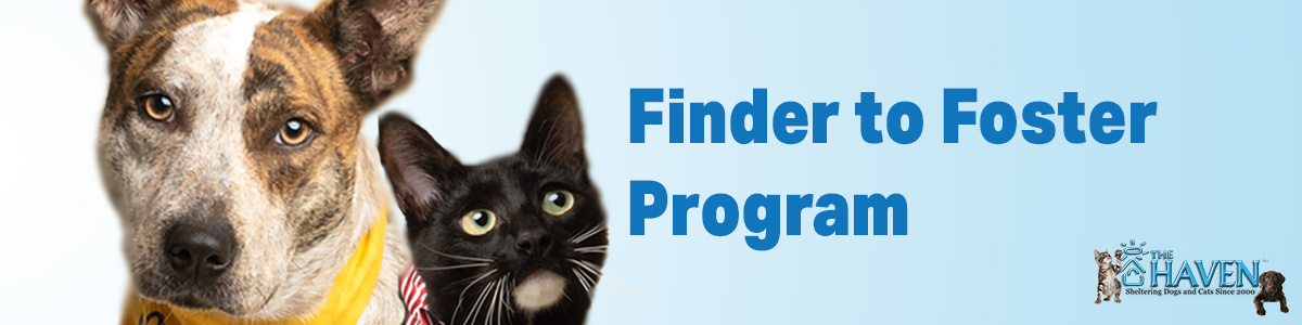 Finder to Foster Program - The Haven No-Kill Animal Shelter
