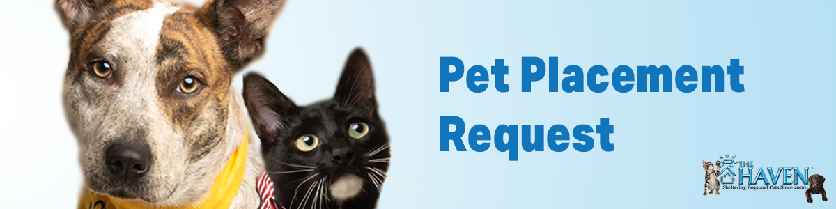 Rehoming Your Pet - The Haven No-Kill Animal Shelter