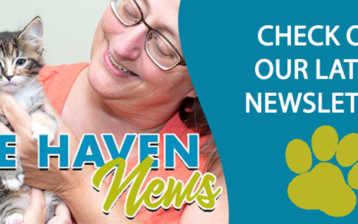 Check out our latest newsletter!