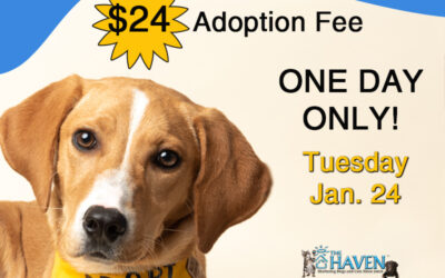 Change a Pet’s Life Day