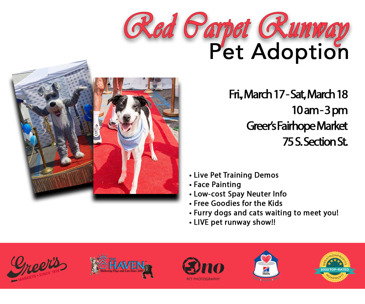HAVEN - The Haven No-Kill Animal Shelter HAVEN - The Haven No-Kill Animal Shelter