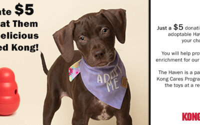 Treat Them to a Yummy Kong