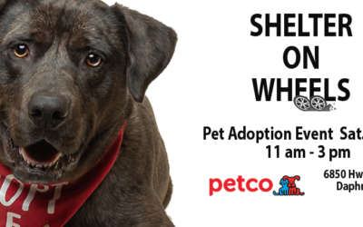 Shelter on Wheels Pet Adoptions are BACK!