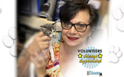 Volunteers Make Miracles Happen