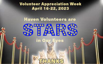 Volunteer Appreciation Week