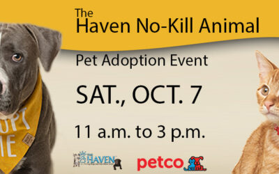 Adoption Event at Petco, Oct. 7