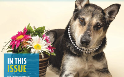 The Haven News: Fall Winter 2023