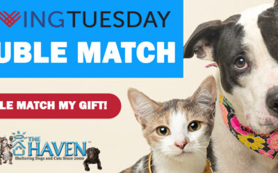 #GivingTuesday Donation DOUBLE MATCH for the Animals