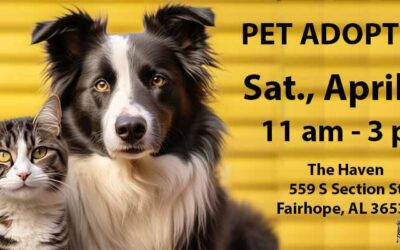 Pet Adoption Event at The Haven this Saturday
