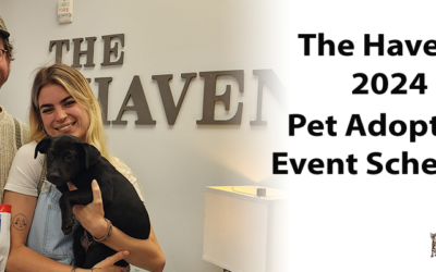 Pet Adoption Events Near You