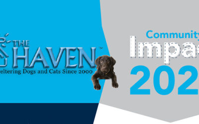 Our Community Impact 2023