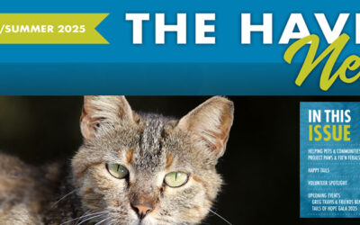 The Haven’s Spring Summer Newsletter 2025