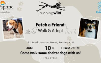 Fetch-a-Friend: Walk & Adopt