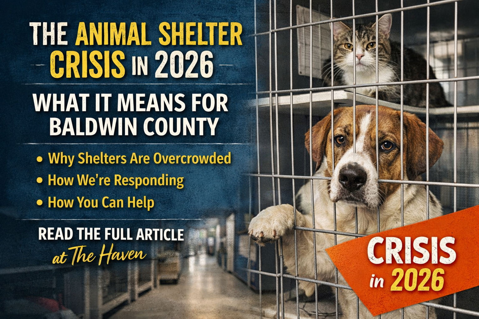animal shelter crisis 2026