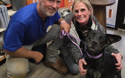 After 15 Months, Stella Finally Found Her Family