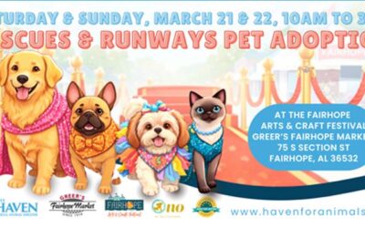 Rescues & Runways Pet Adoption this Weekend