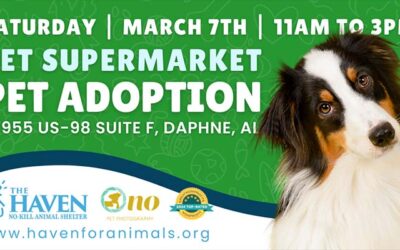 Adopt Your Furry BFF this Saturday!