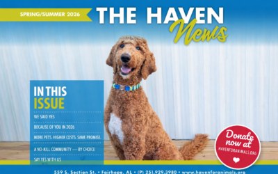 Spring/Summer 2026 Newsletter Is Here—See the Lives You’re Changing