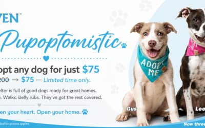 Be Pupoptimistic!