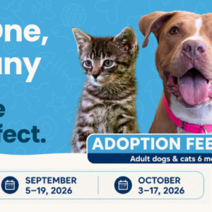 Banner promoting The Haven's participation in the ASPCA Rescue Effect campaign with fee-waived adoptions for adult dogs and cats 6 months and older during select dates in August, September, and October 2026. Image features a kitten, a smiling dog, and a black cat.