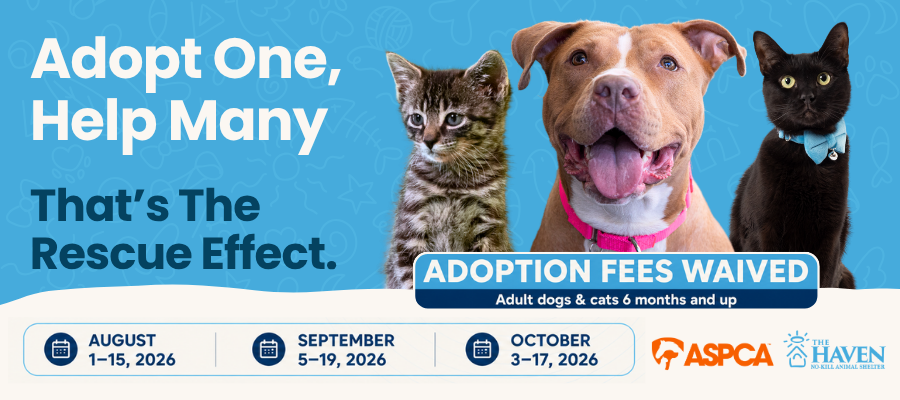 Banner promoting The Haven's participation in the ASPCA Rescue Effect campaign with fee-waived adoptions for adult dogs and cats 6 months and older during select dates in August, September, and October 2026. Image features a kitten, a smiling dog, and a black cat.