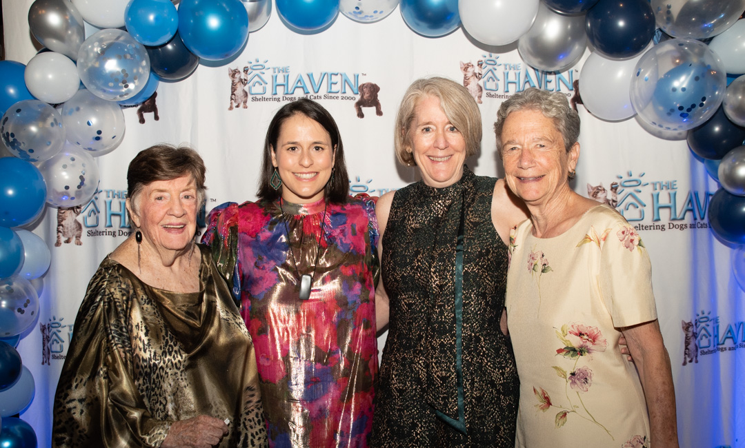 Guests celebrating at The Haven's Tails of Hope Gala