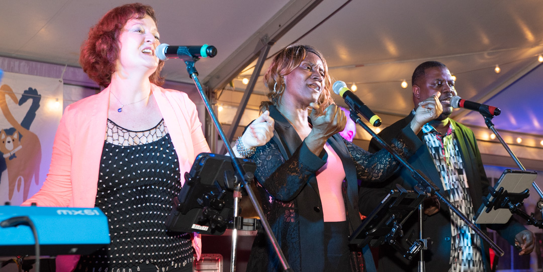 Mr. Big and the Rhythm Sisters performing live at The Haven's Tails of Hope Gala