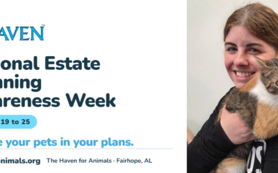 Include Your Pets in Your Estate Plan: National Estate Planning Awareness Week